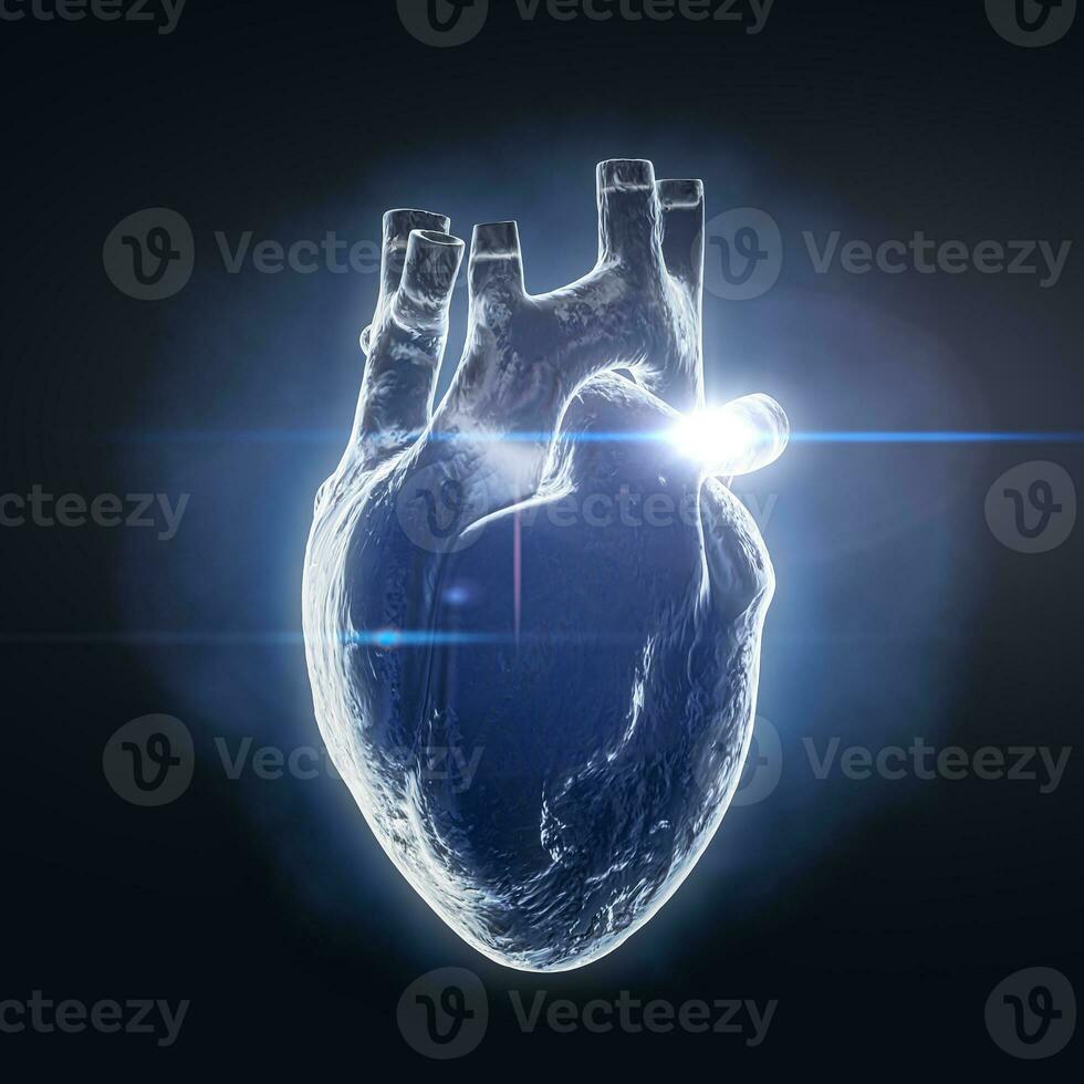 menselijk hart anatomie intern orgaan röntgenstraal hologram visie. 3d renderen foto