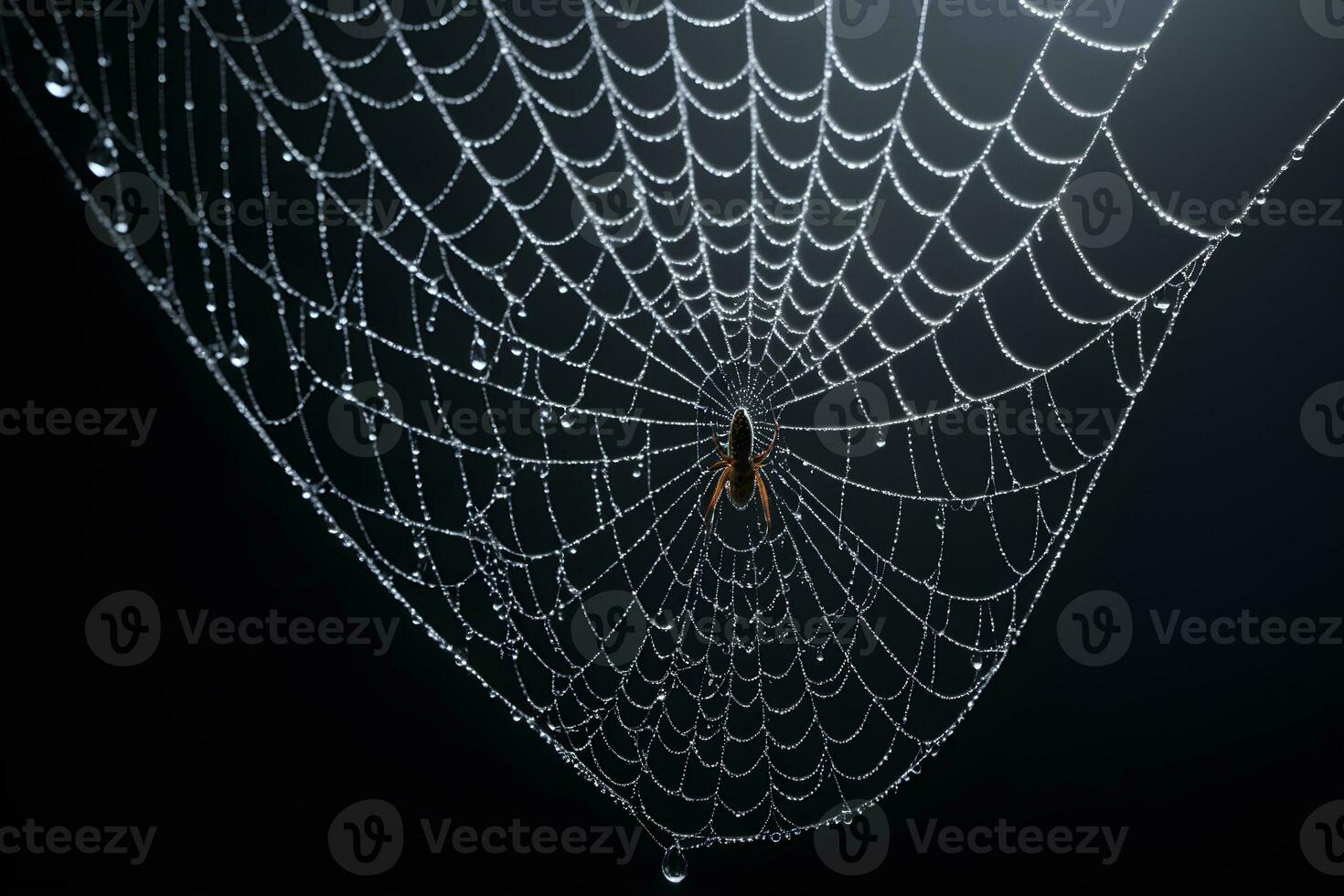 ai gegenereerd spin web geïsoleerd in zwart achtergrond ai generatief foto