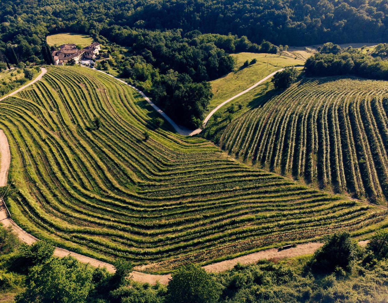 luchtfoto van montevecchia prachtige terrassen bij zonsondergang foto