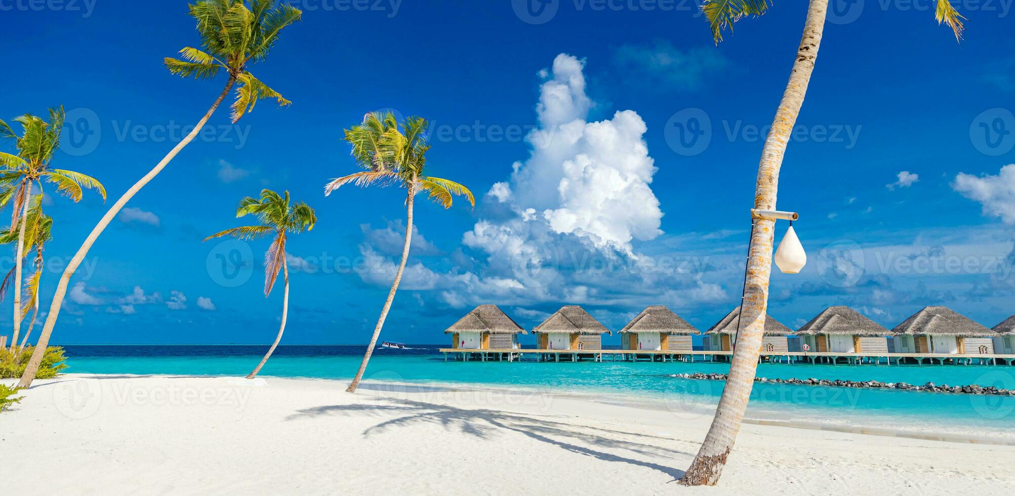 fantastisch zonnig panorama Bij Maldiven. luxe toevlucht zeegezicht. majestueus zee golven kokosnoot palm bomen zand zonneschijn lucht. schoonheid paradijs strand populair bestemming. het beste zomer vakantie reizen achtergrond foto