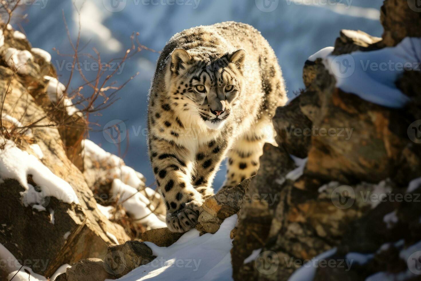 ai gegenereerd groot portret jager dieren in het wild dier winter luipaard zoogdier wild lynx carnivoor sneeuw foto