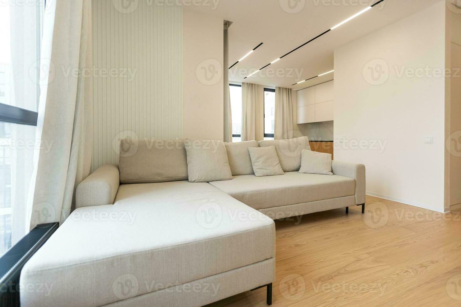 helder leven kamer interieur met groot sofa en eik houten vloer. concept van minimalistische ontwerp. comfortabel plaats voor ontmoeting. foto