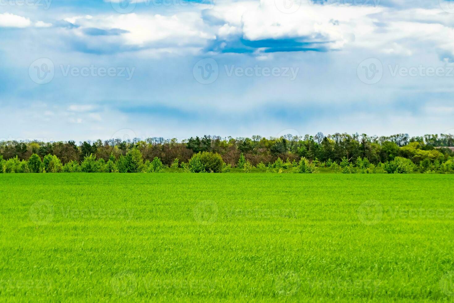 mooi horizon landschap in dorp weide Aan kleur natuurlijk achtergrond foto