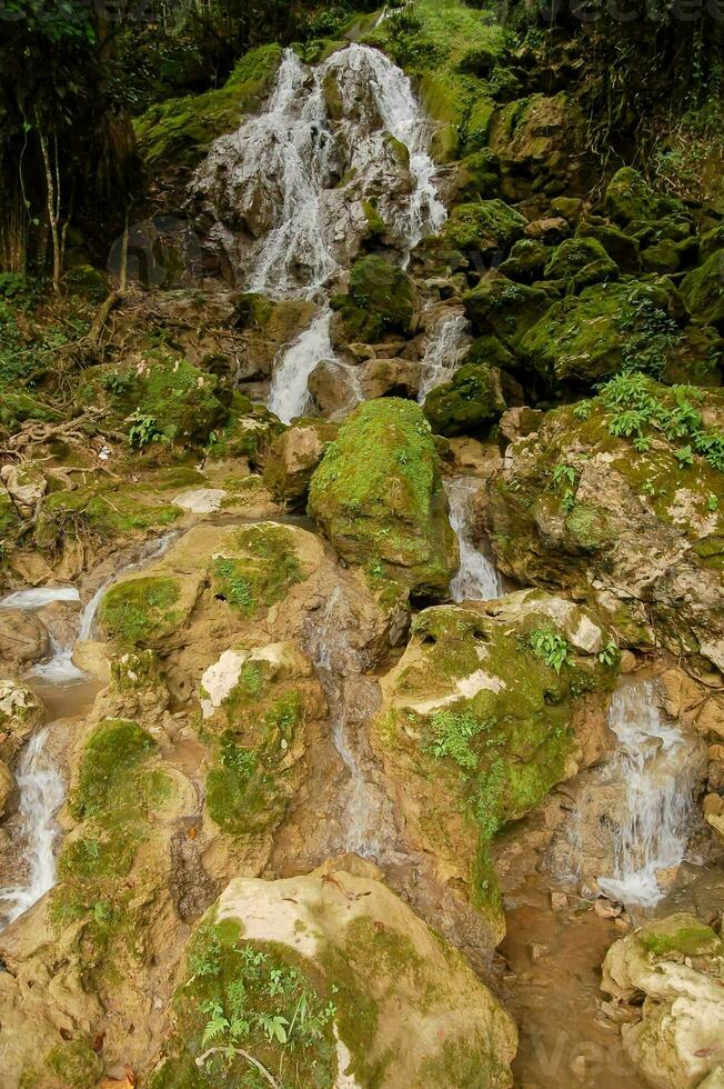 waterval in de jungle foto