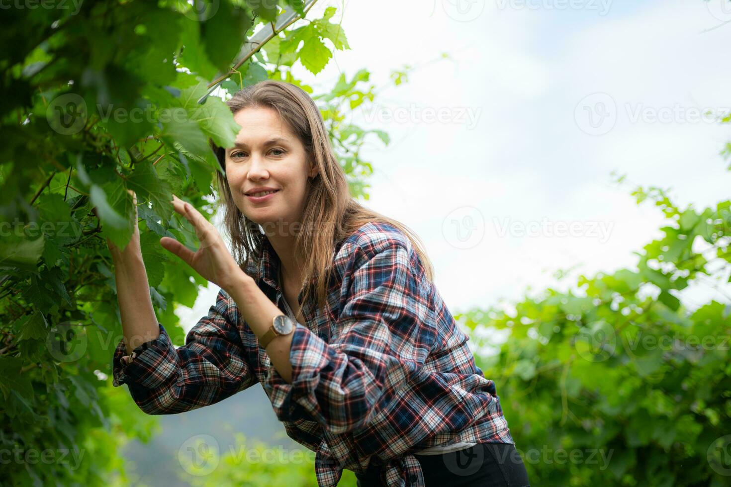 portret van een jong vrouw in de wijngaard met weinig druiven foto