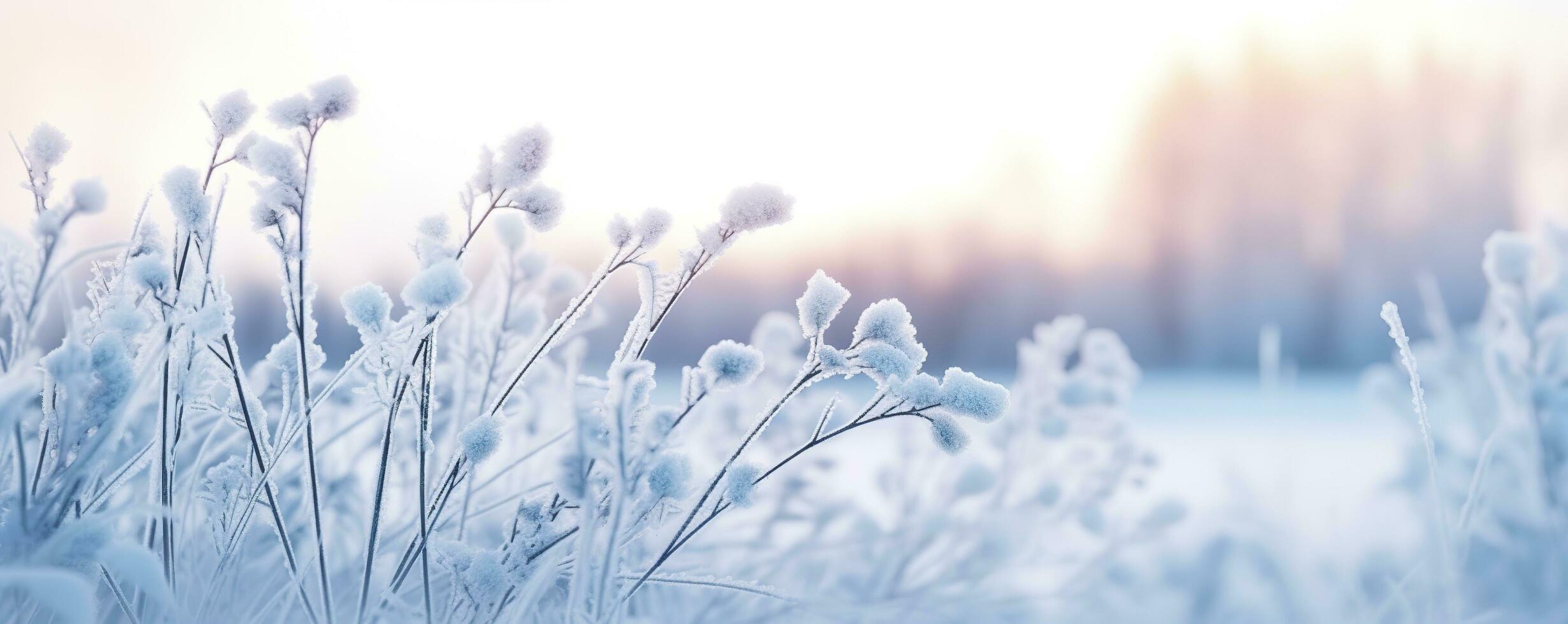 ai gegenereerd bevroren besneeuwd gras, winter natuurlijk abstract achtergrond. mooi winter landschap. ai gegenereerd foto