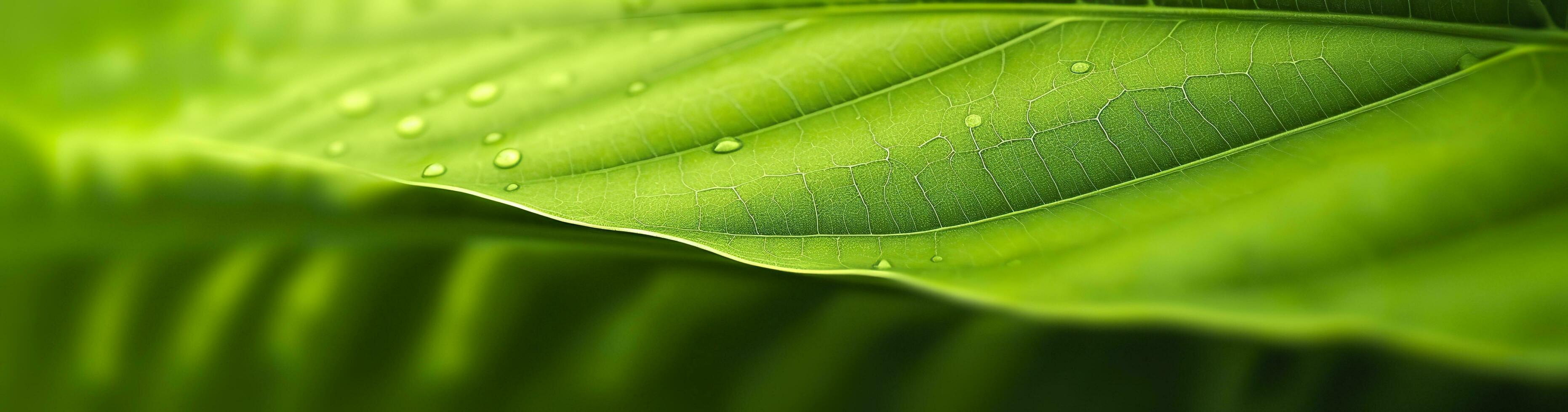 ai gegenereerd groen blad natuur achtergrond. ai gegenereerd foto