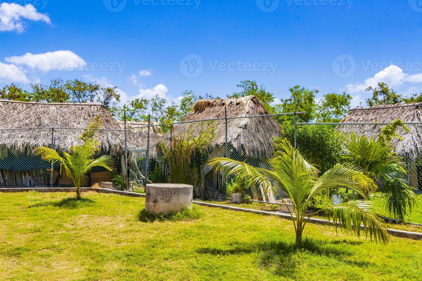 toegangsweg van tropisch strand tussen natuurlijke hutten in mexico. foto