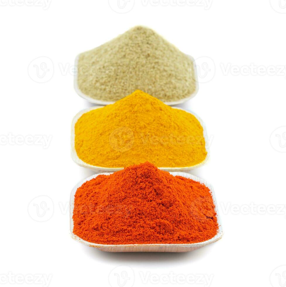 Indisch kleurrijk specerijen ook weten net zo rood chili poeder, kurkuma poeder, koriander poeder foto