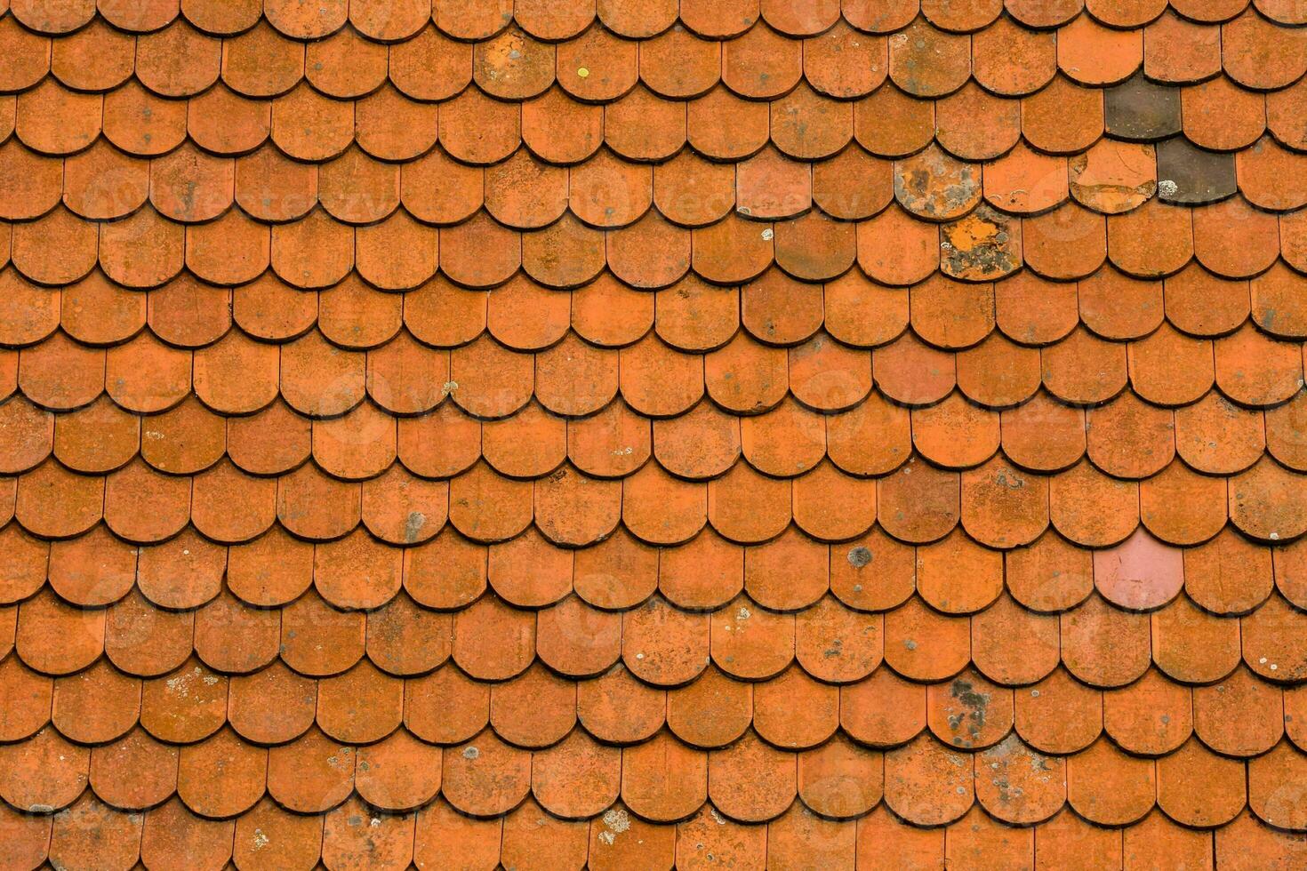 een oranje betegeld dak foto