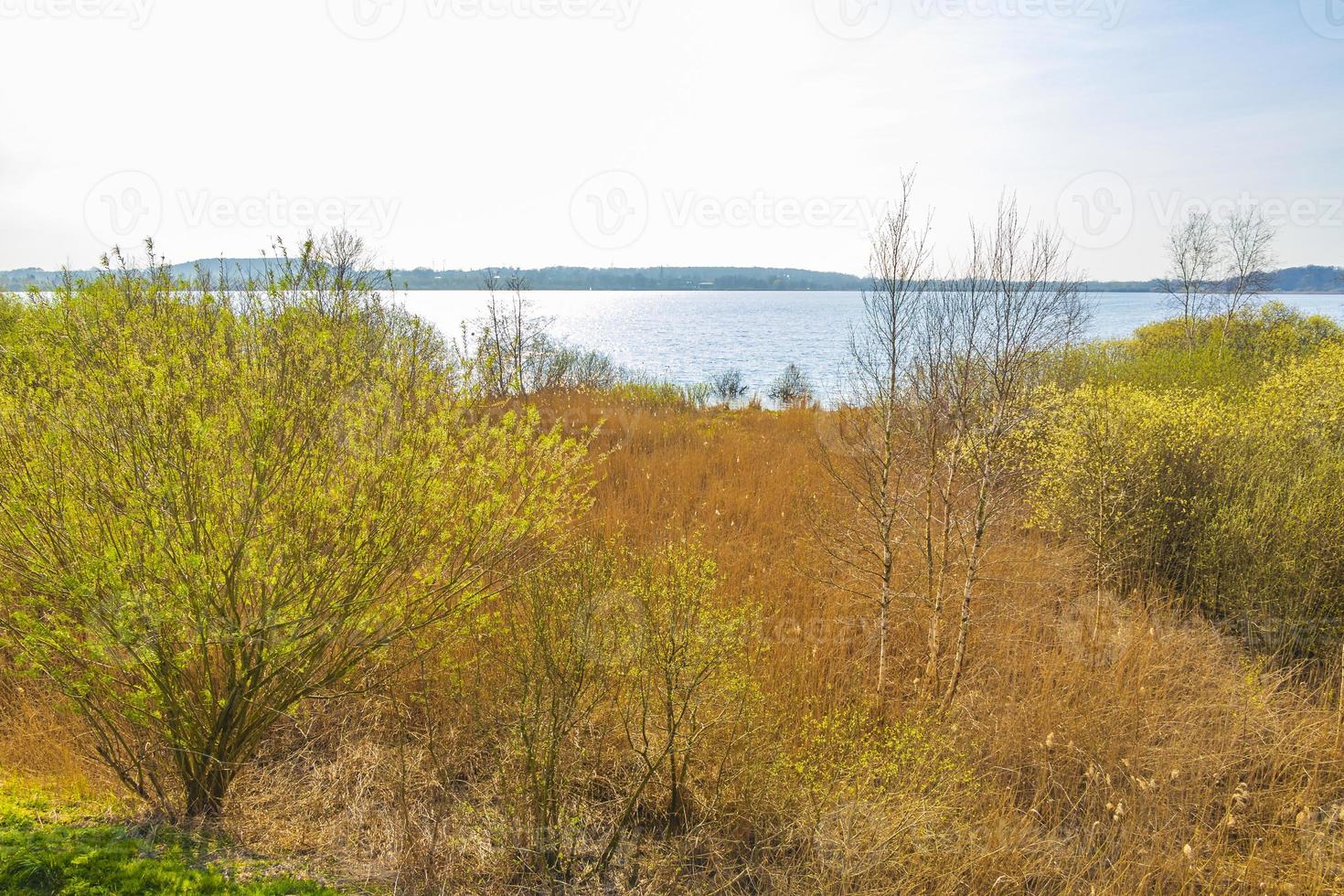 landschap bij bad bederkesa op een zonnige dag in Nedersaksen, duitsland foto