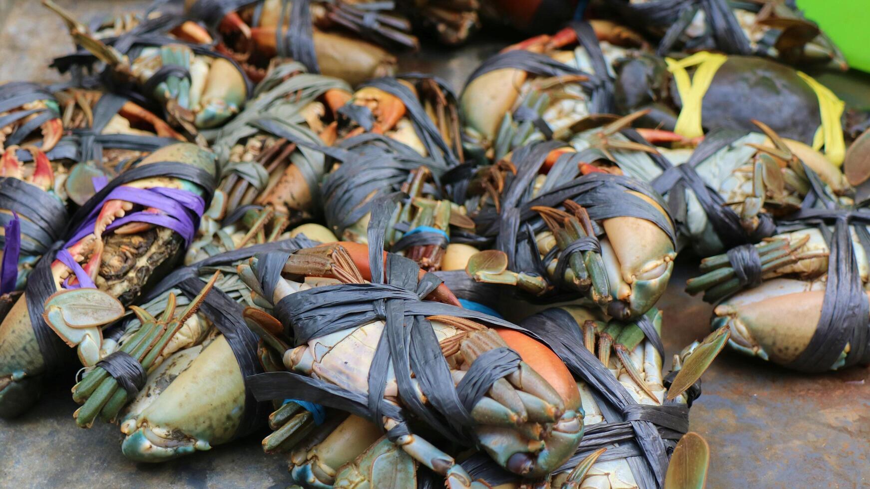 verse krab op traditionele Aziatische markt foto