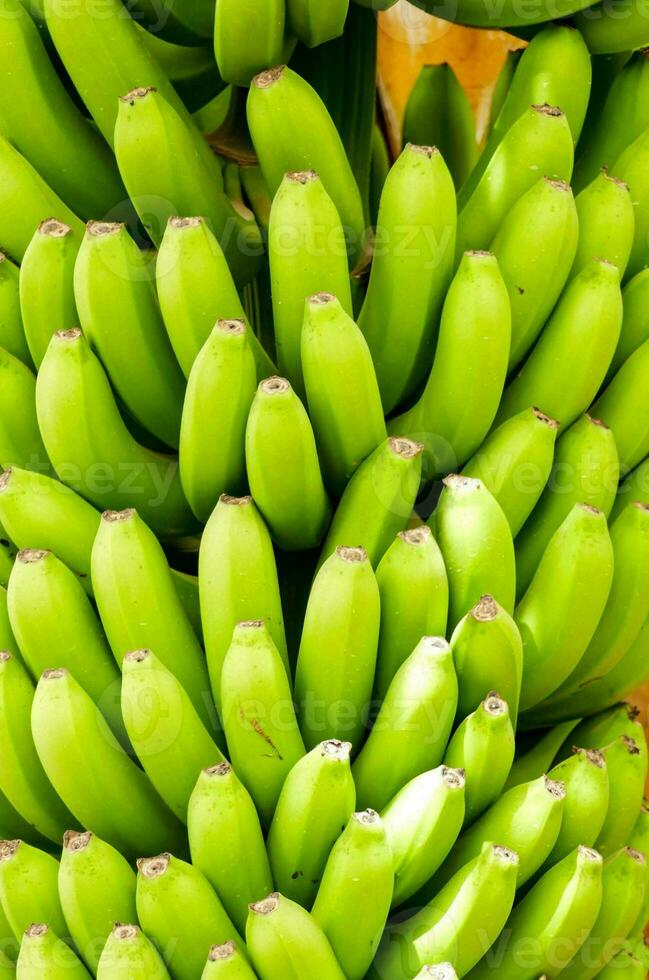 een bundel van groen bananen foto