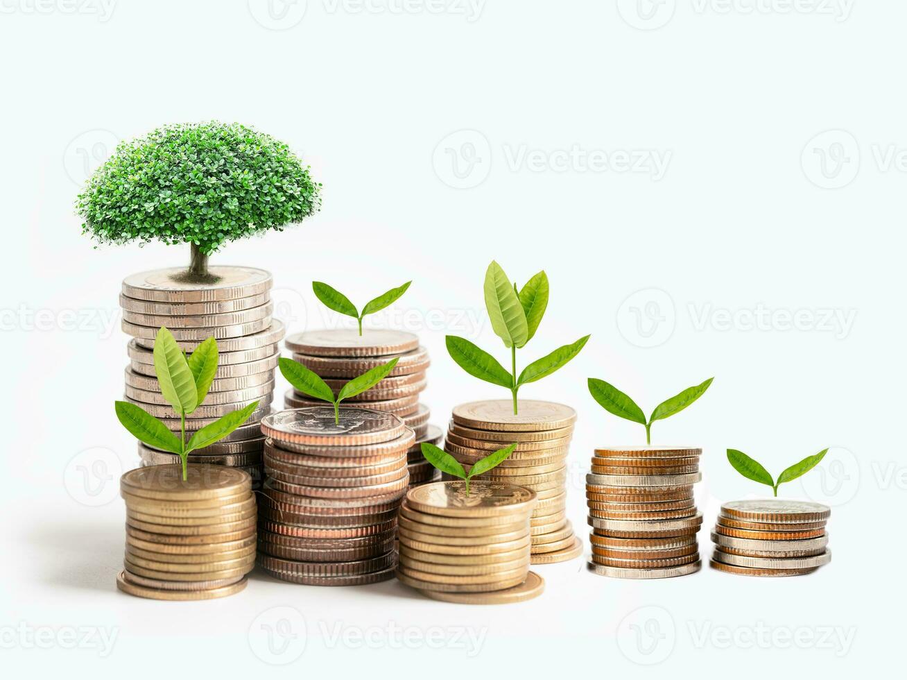 boom pluim blad Aan opslaan geld stack munten, bedrijf financiën besparing bank investering concept. foto