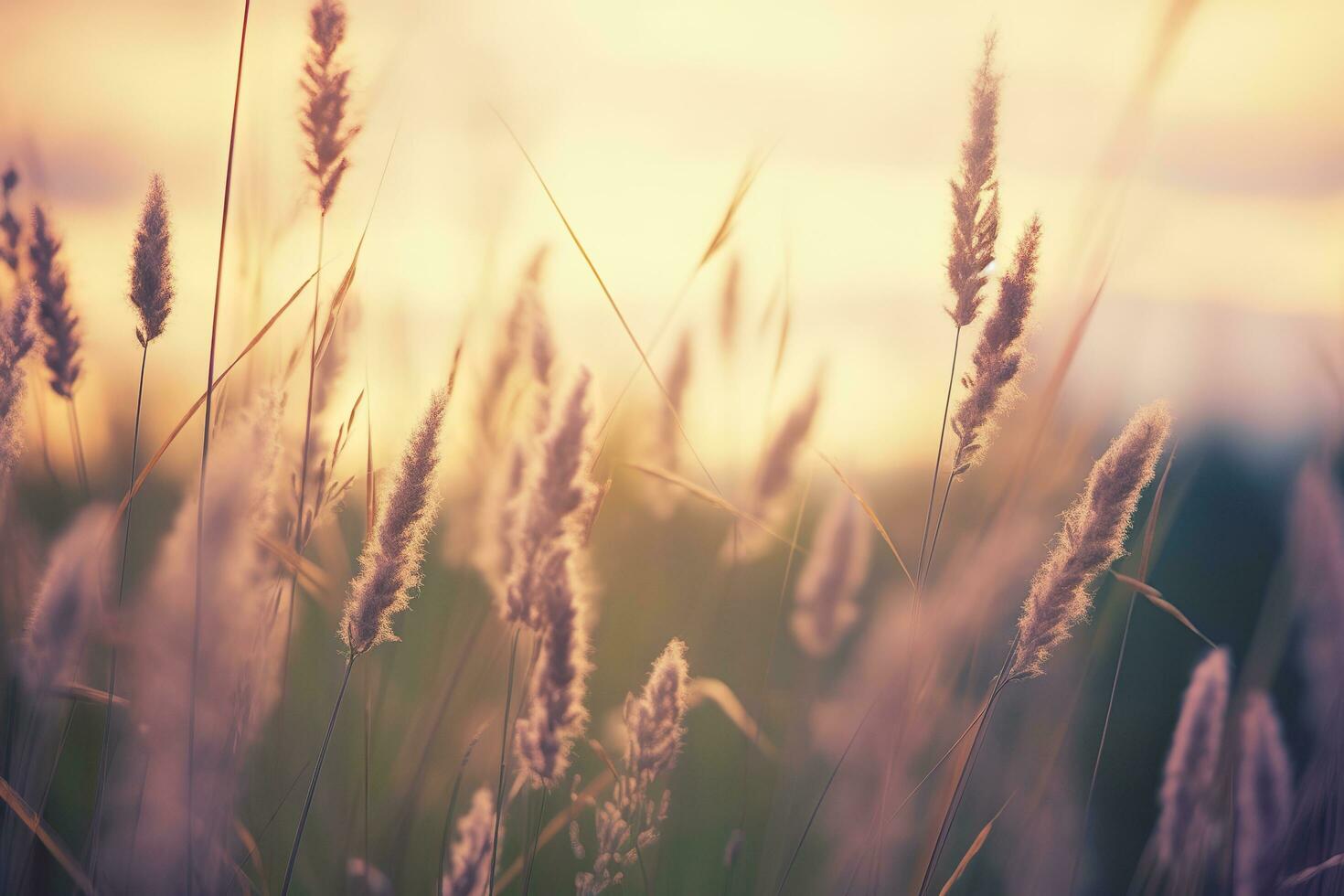 ai gegenereerd wild gras in de Woud Bij zonsondergang. abstract zomer natuur achtergrond. generatief ai foto