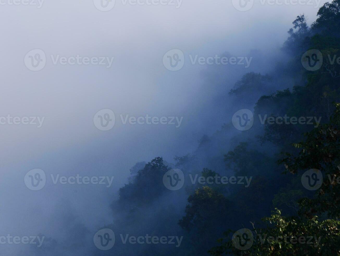 de de nevel stromen door de berg Woud, zon schijnend in tropisch Woud, de nevel drijft door berg ruggen in de ochtend, langzaam drijvend mist blazen Hoes Aan de top van berg foto