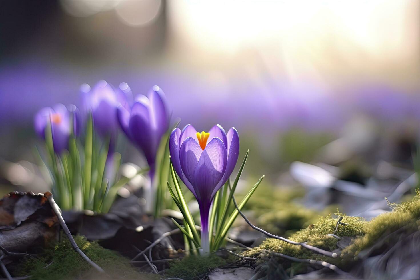 ai gegenereerd voorjaar Purper krokus bloem. ai gegenereerd foto