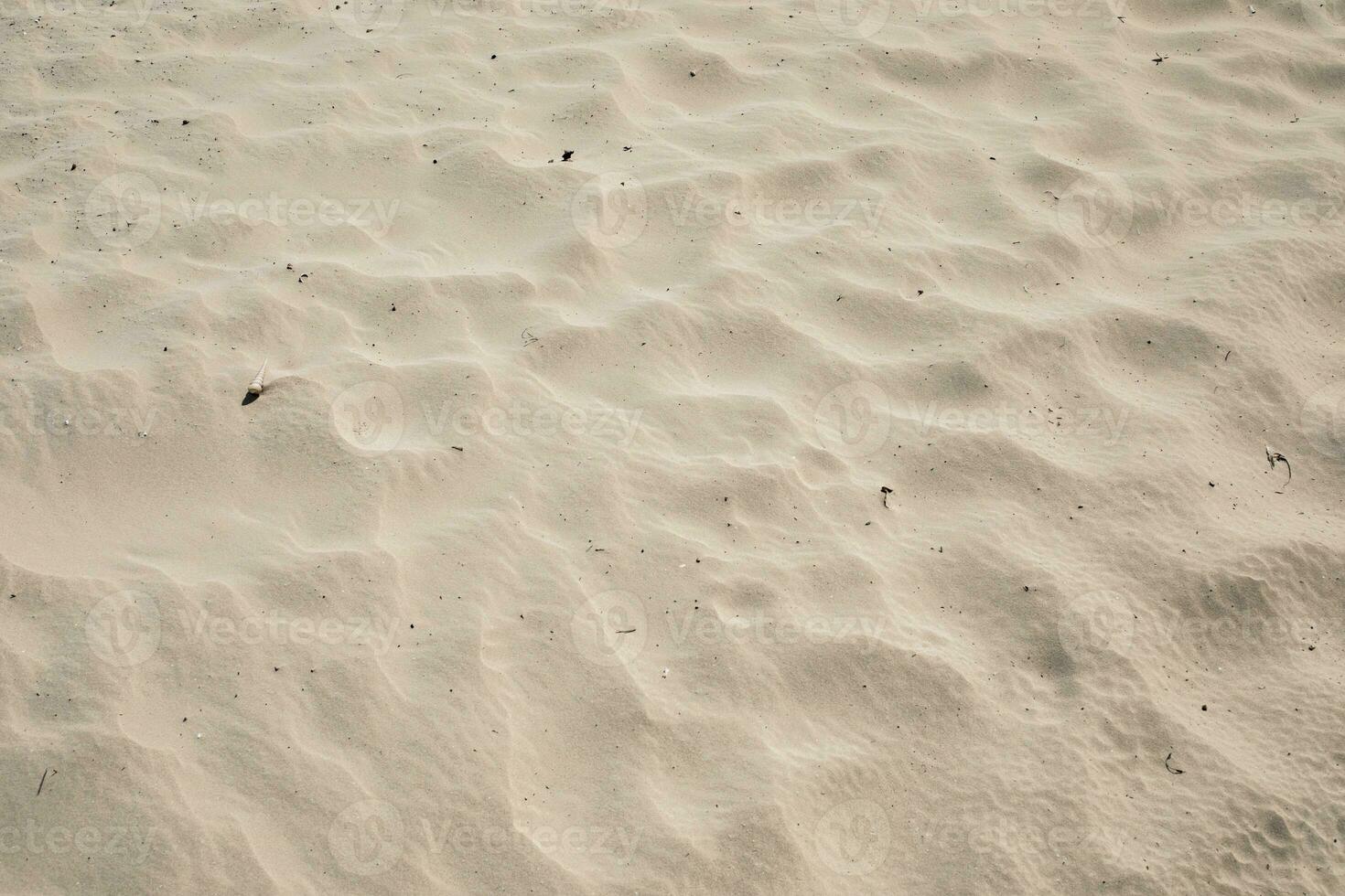 structuur van natuurlijk bruin zand strand foto