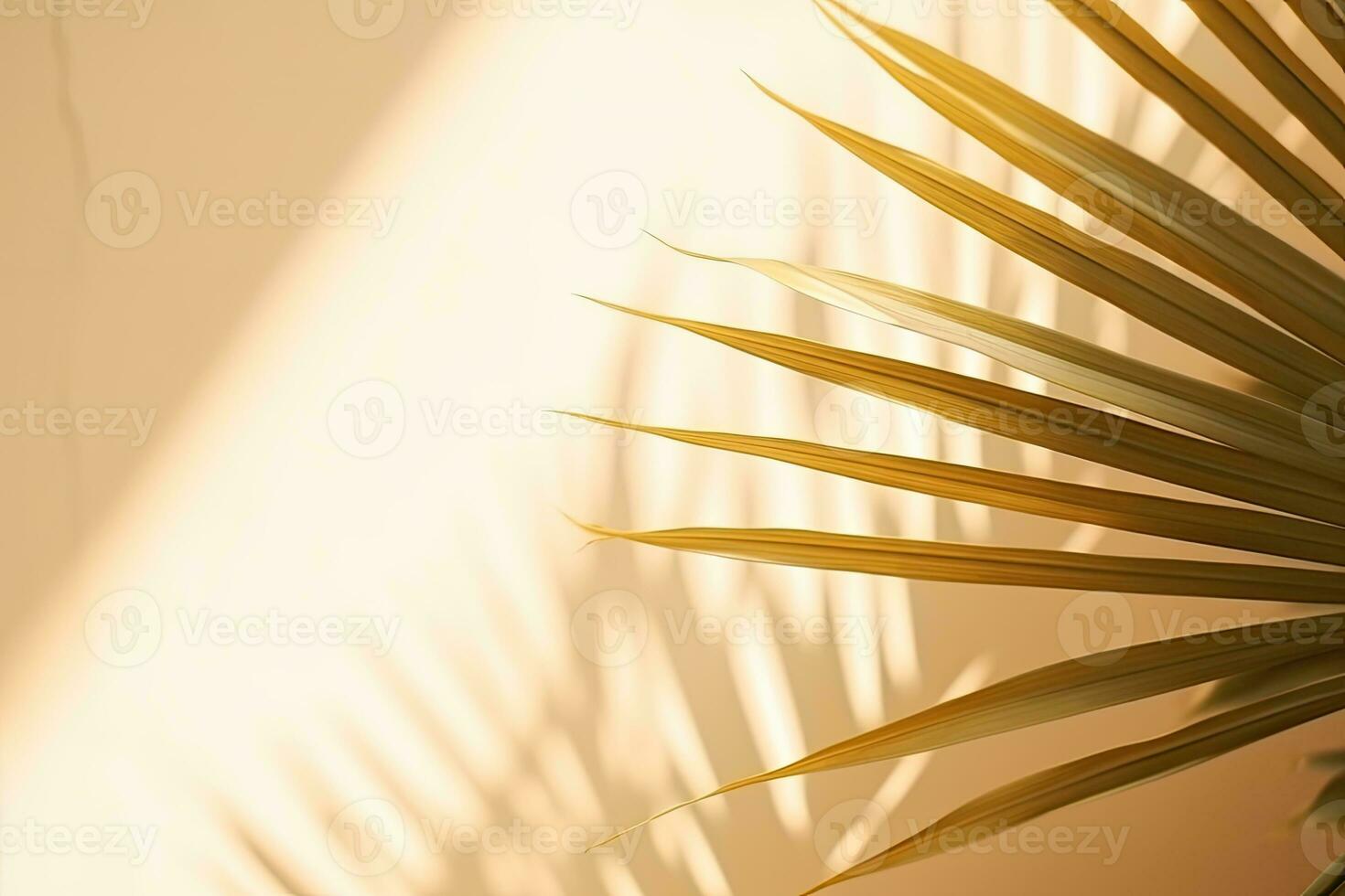 schaduwen en palm blad Aan een perzik, oranje, beige, pastel muur. achtergrond voor reclame een luxe Product. foto