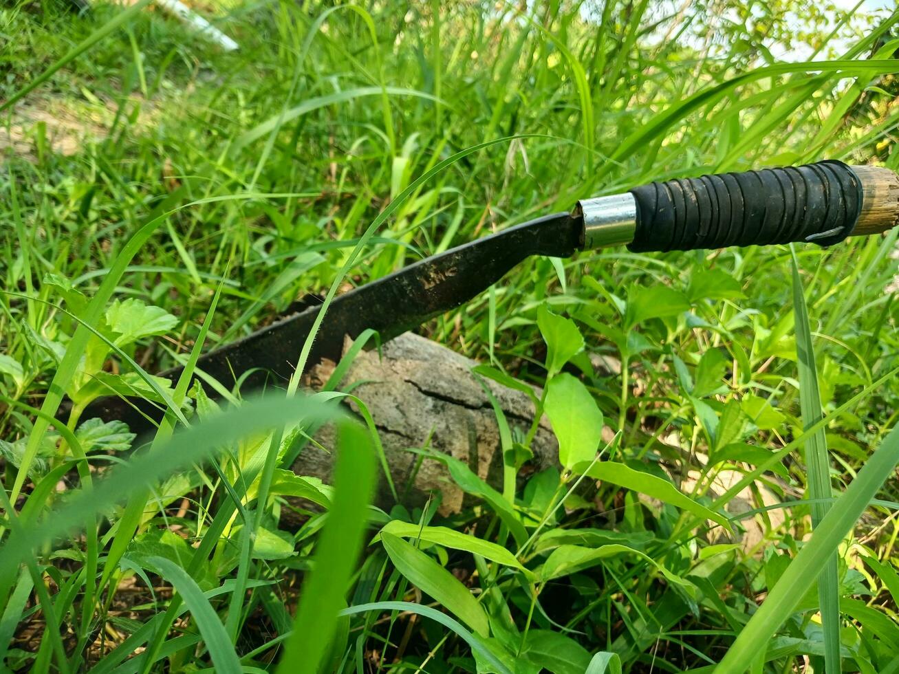 scherp machete met houten stomp achtergrond. machete Aan houten achtergrond. foto