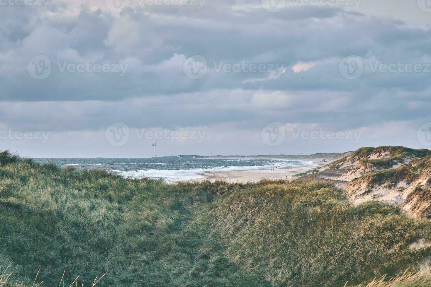 duinen in avond licht Bij Deens west kust foto