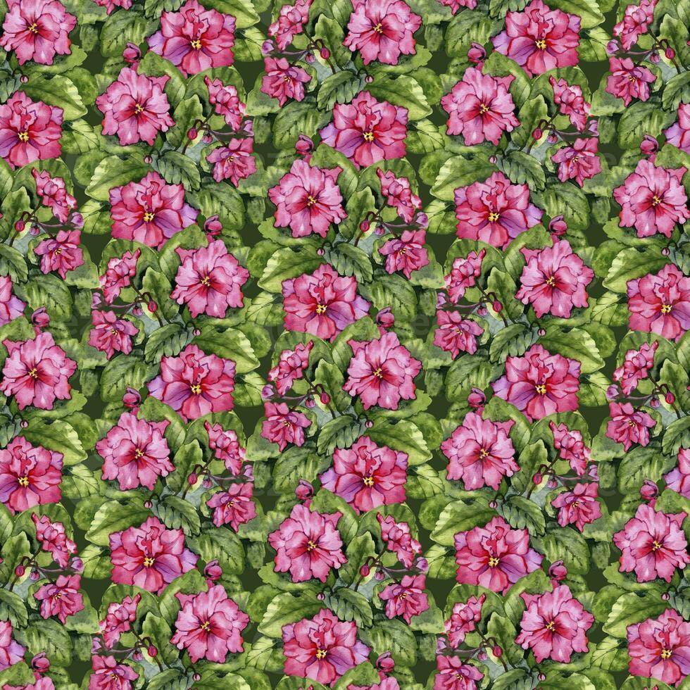 naadloos patroon van waterverf saintpaulia bloemen. bloemen botanisch digitaal papier foto