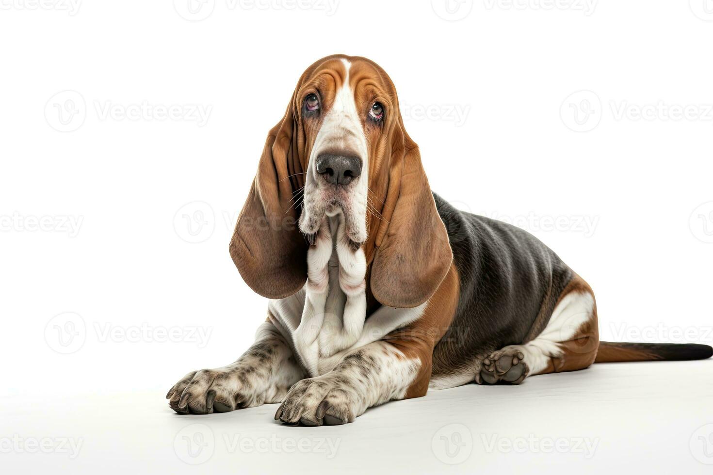 ai gegenereerd realistisch basset hond clip art foto