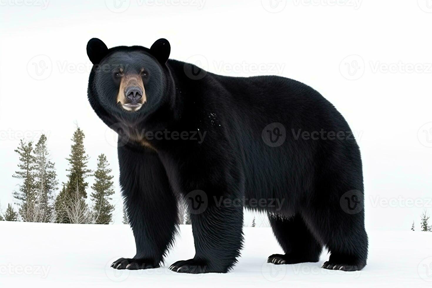 ai gegenereerd realistisch zwart beer clip art foto