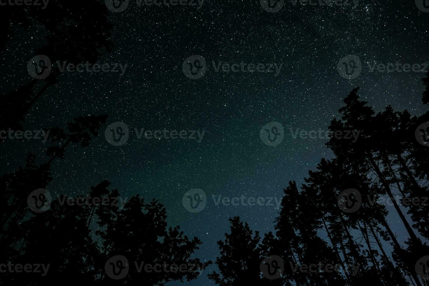 sterren in nacht lucht over- boom silhouetten foto