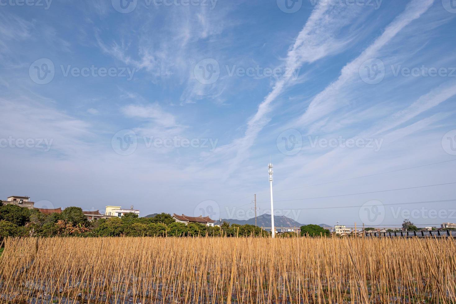 landelijke velden onder blauwe lucht en witte wolken foto