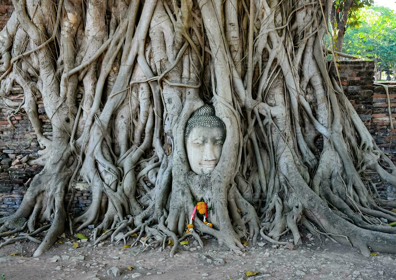 ayutthaya, een wereld erfgoed stad van Thailand foto