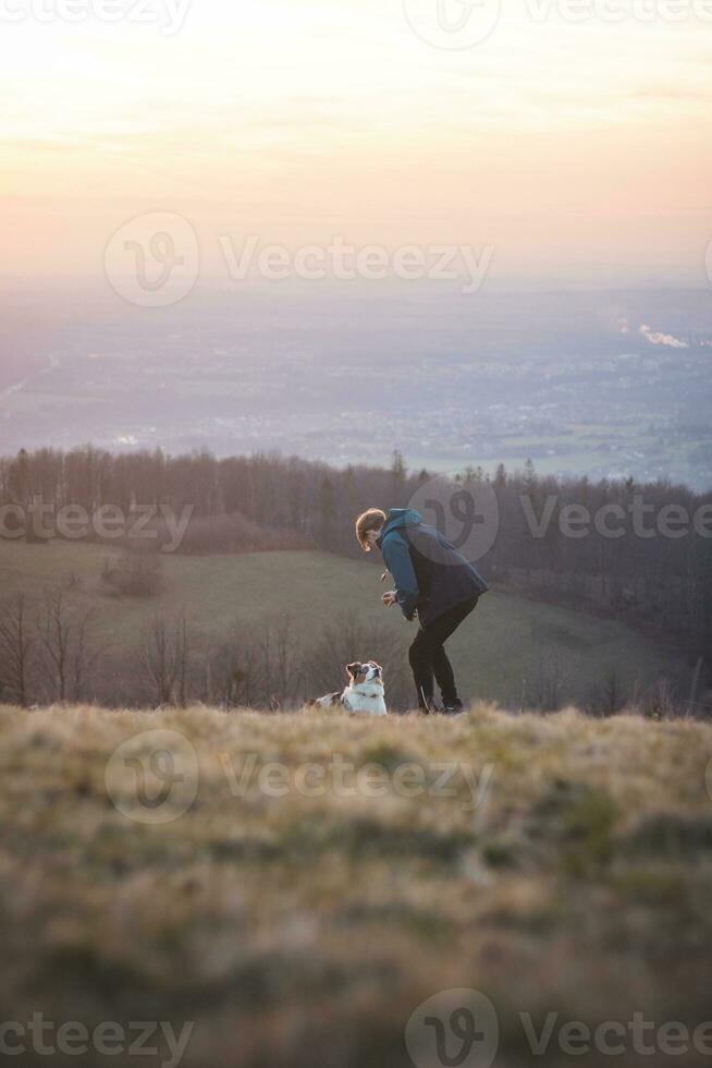 jong cynoloog, een hond trainer treinen een vierpotig huisdier Australisch herder in eenvoudig commando's gebruik makend van behandelt. liefde tussen hond en menselijk foto