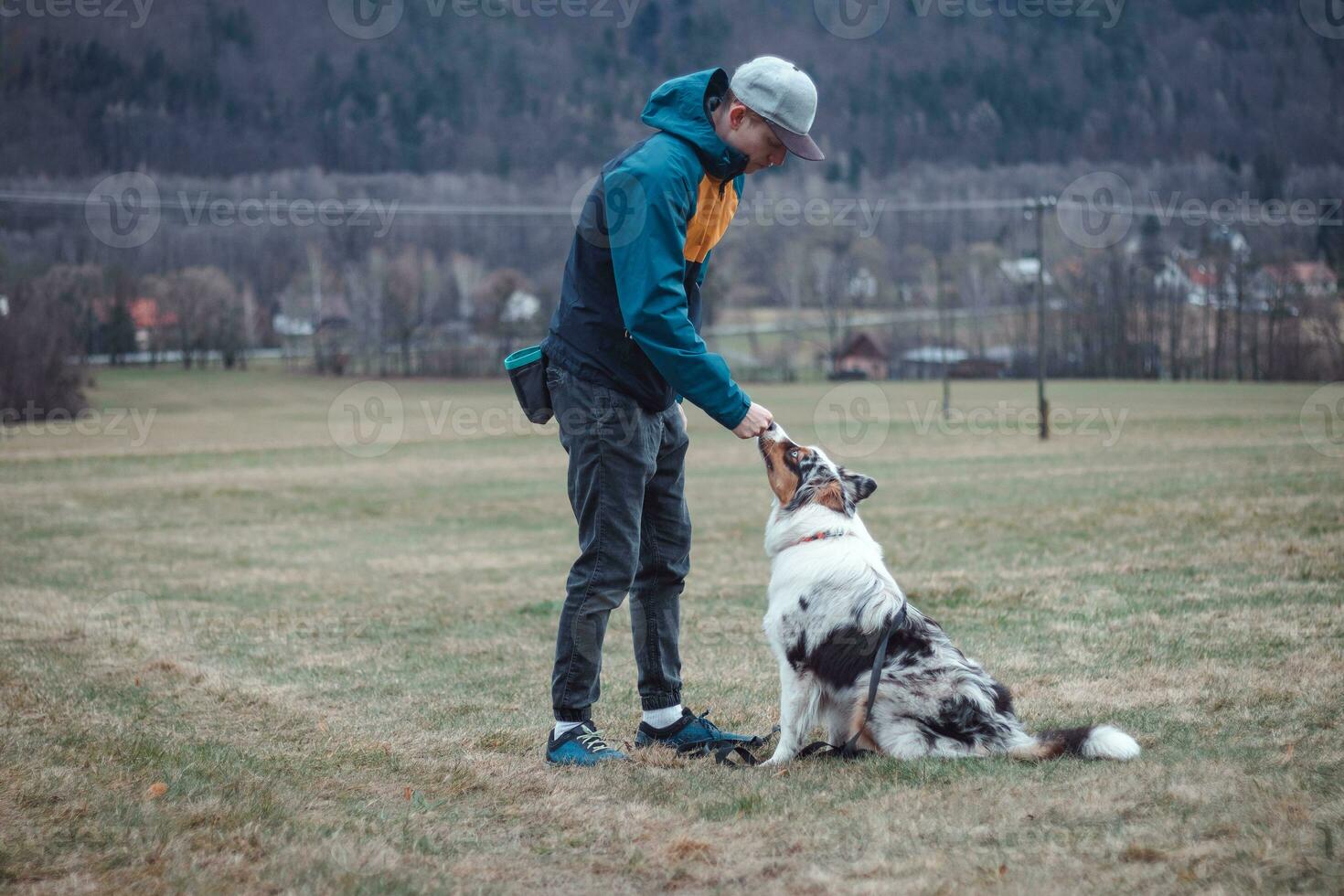 jong cynoloog, een hond trainer treinen een vierpotig huisdier Australisch herder in eenvoudig commando's gebruik makend van behandelt. liefde tussen hond en menselijk foto