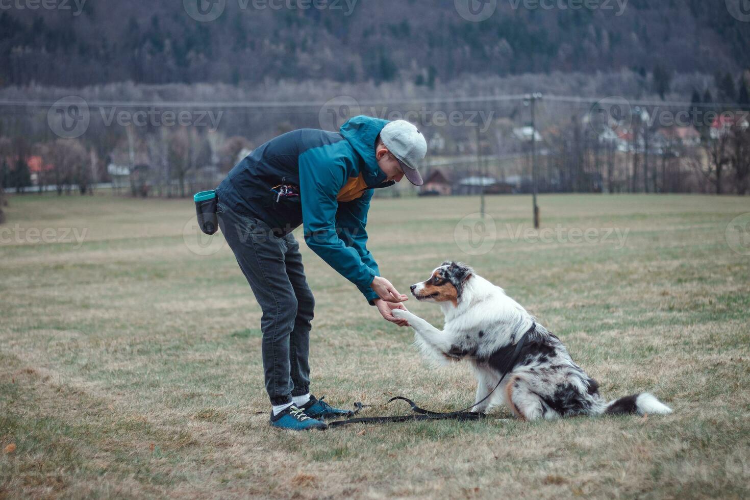 jong cynoloog, een hond trainer treinen een vierpotig huisdier Australisch herder in eenvoudig commando's gebruik makend van behandelt. liefde tussen hond en menselijk foto