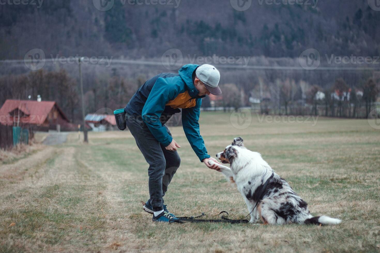 jong cynoloog, een hond trainer treinen een vierpotig huisdier Australisch herder in eenvoudig commando's gebruik makend van behandelt. liefde tussen hond en menselijk foto