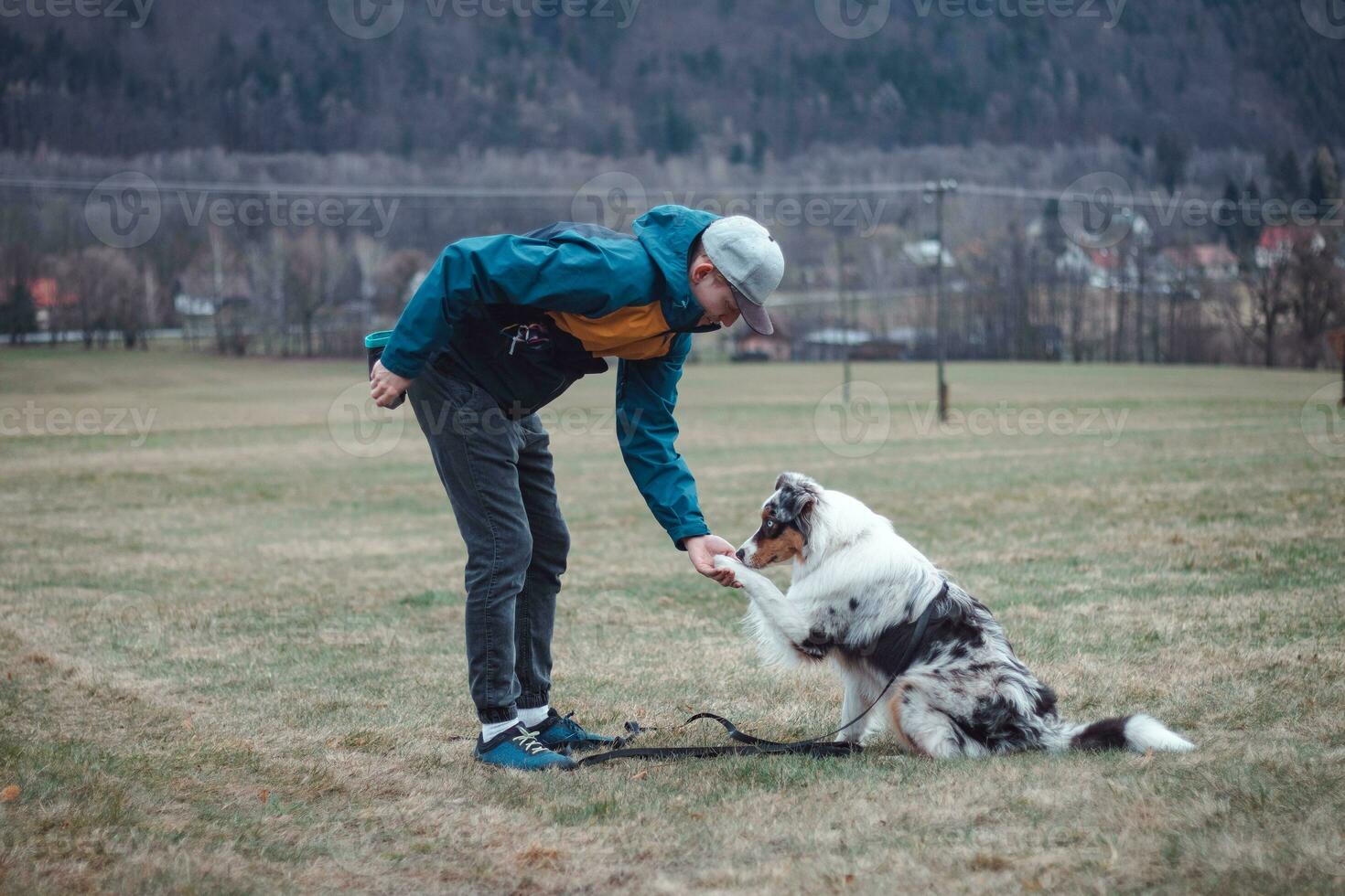 jong cynoloog, een hond trainer treinen een vierpotig huisdier Australisch herder in eenvoudig commando's gebruik makend van behandelt. liefde tussen hond en menselijk foto