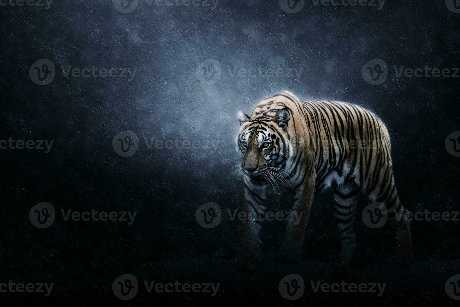 portret van een Bengaalse tijger. foto