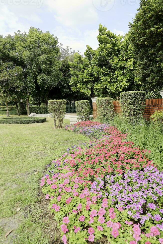 toneel- visie van een mooi bloem stijl landschap tuin met een groen gemaaid gazon en kleurrijk bloem bed met selectief focus foto