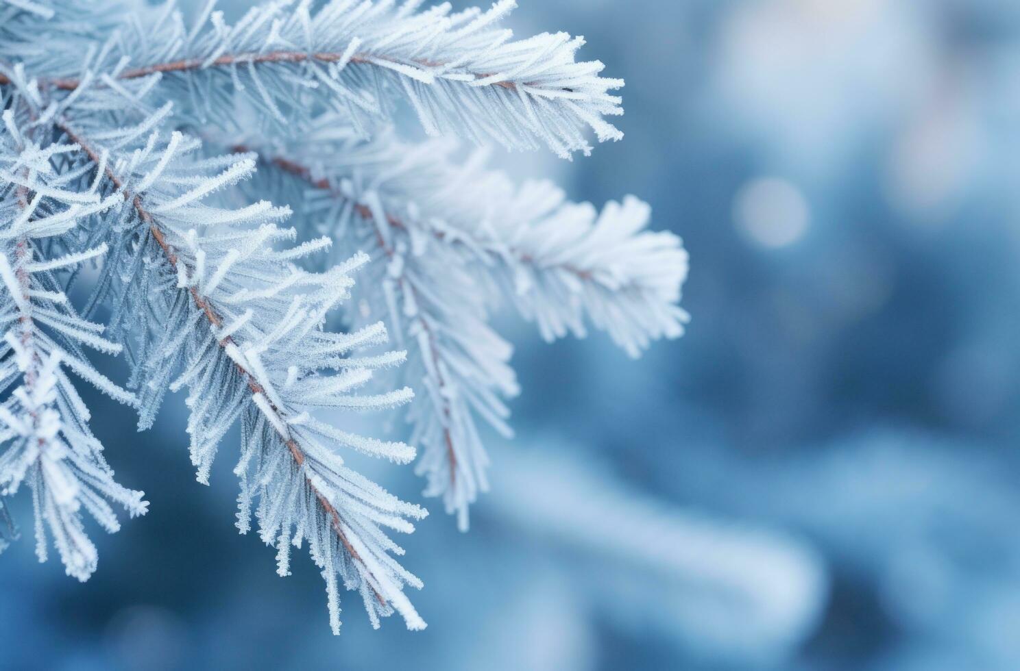 ai gegenereerd pijnboom takken met bevriezing en ijzig bladeren foto