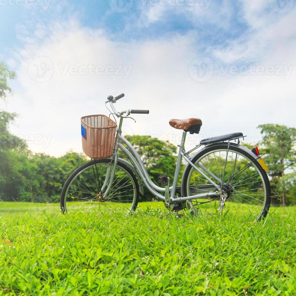 fietsen in het park foto