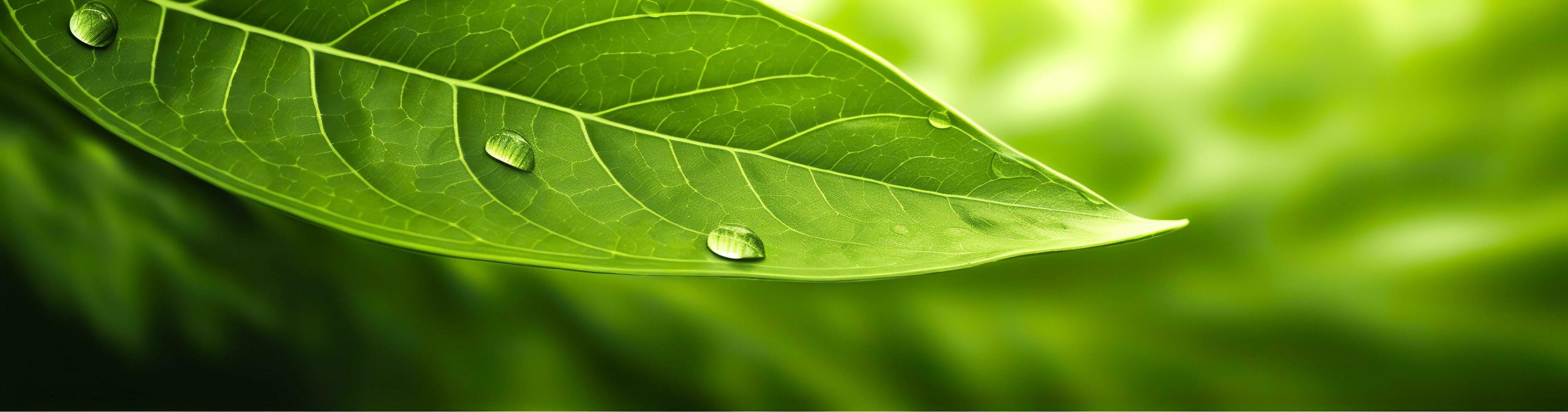 ai gegenereerd groen blad natuur achtergrond. ai gegenereerd foto