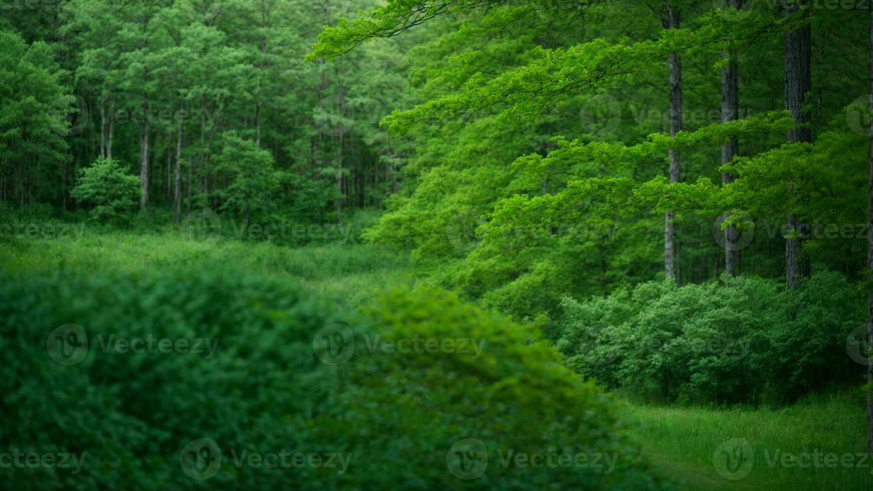 ai gegenereerd beschrijven de subtiel variaties in tinten van groen gedurende verschillend seizoenen, benadrukkend de overgang van voorjaar naar zomer in een gematigd Woud. foto