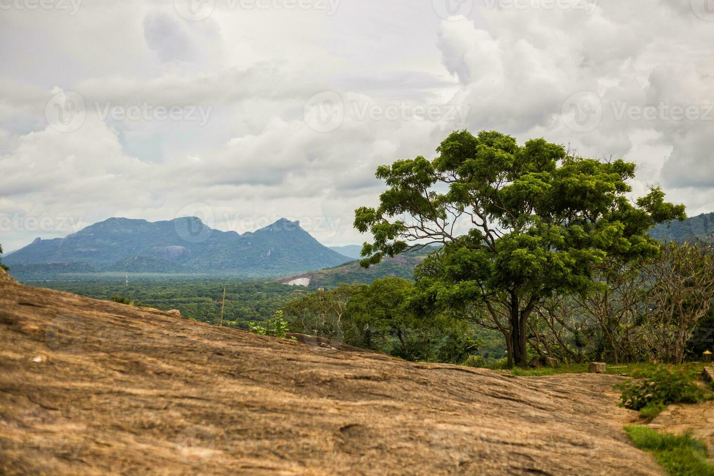 mooi landschap van natuur Bij sri lanka. foto