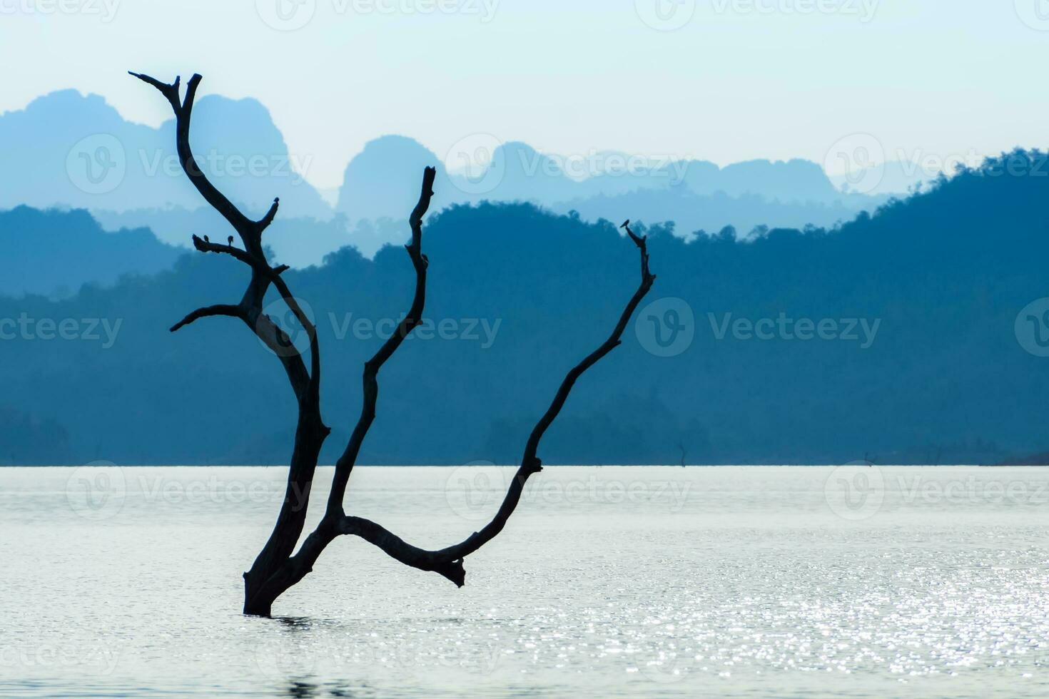 takken in de meer met blauw berg. foto