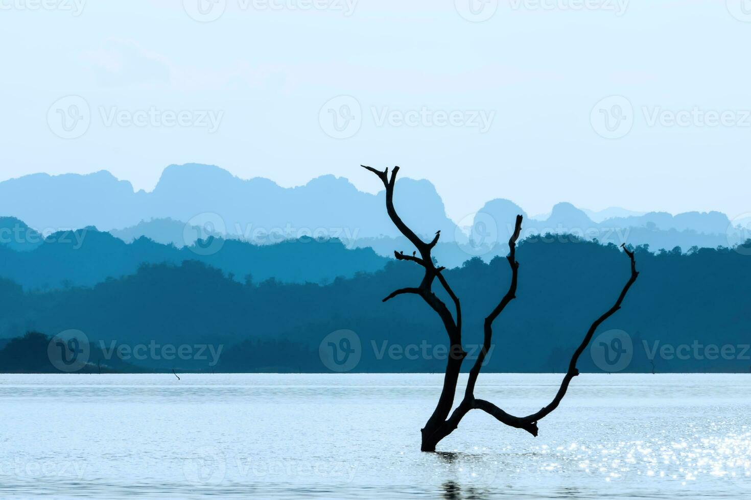 takken in de meer met blauw berg. foto