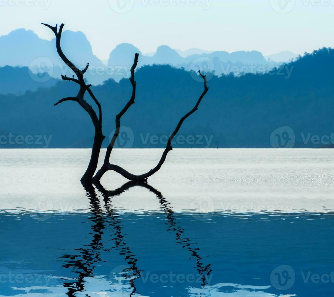 takken in de meer met blauw berg. foto