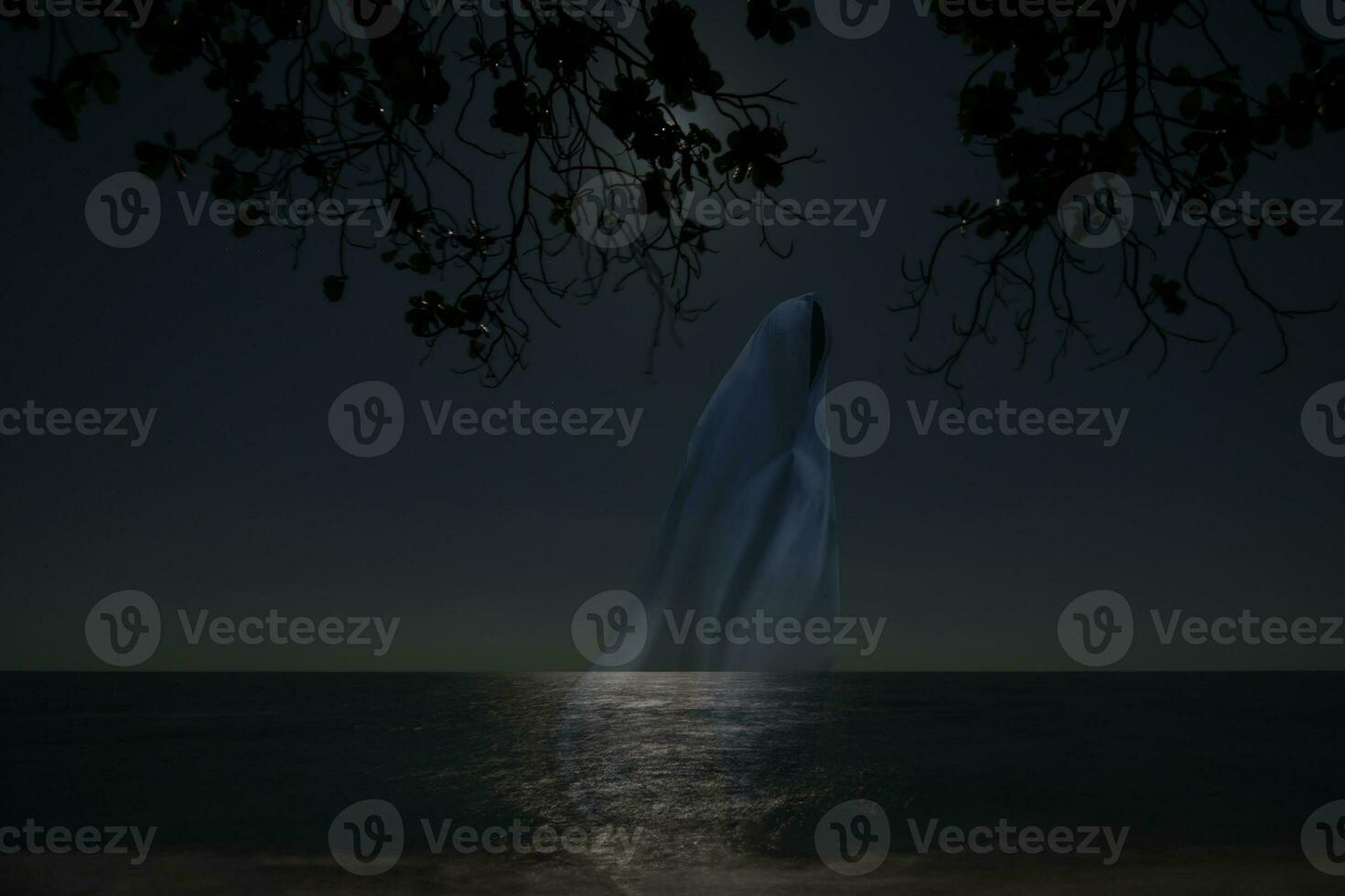 laag sleutel beeld van geest in de nacht Aan de strand. foto