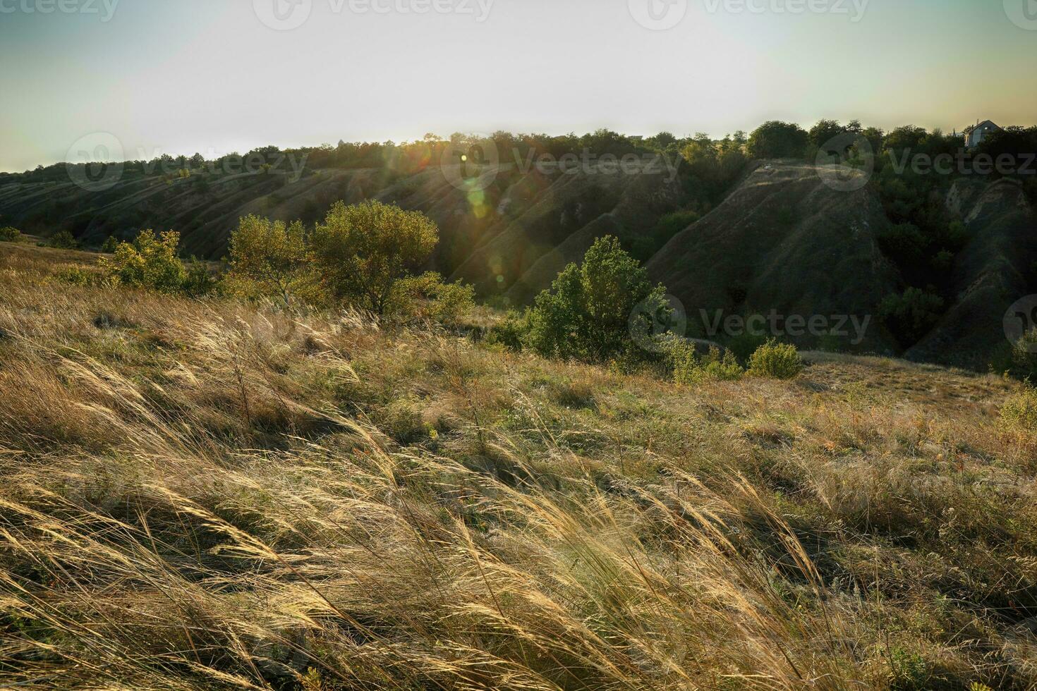 zonnig herfst dag in de park bijna de rivier- in dnipro stad foto