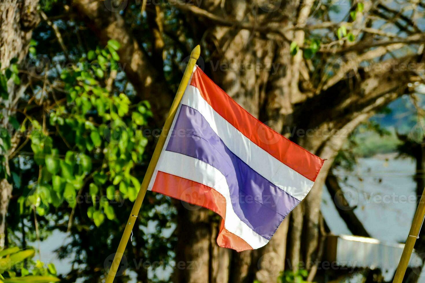 twee Thais vlaggen zijn vliegend in de wind in de buurt een lichaam van water foto