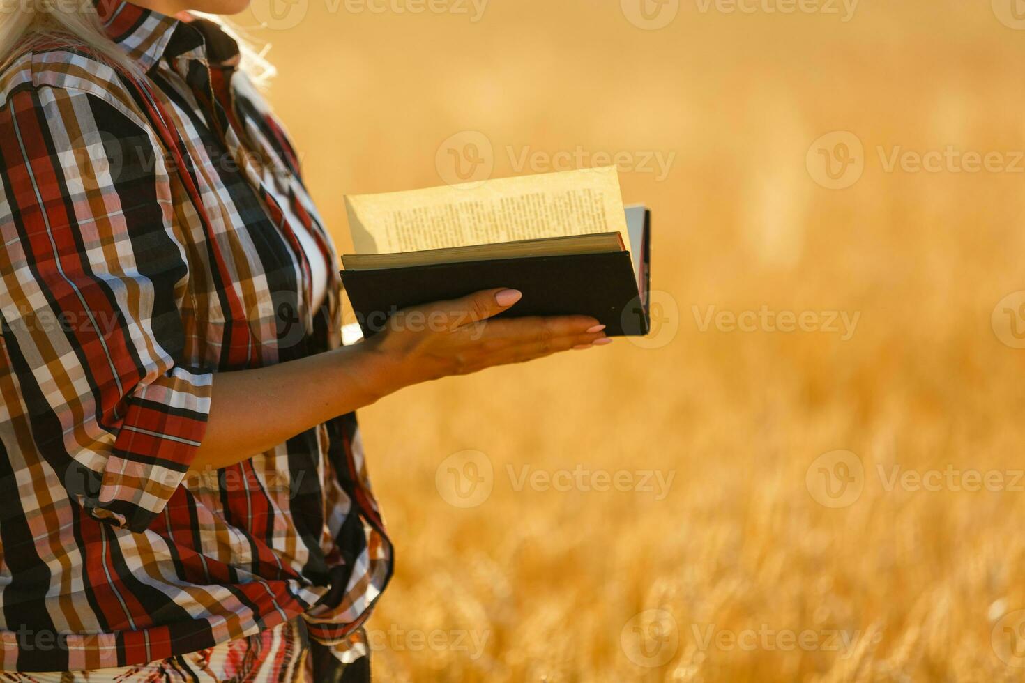 vrouw Holding een Bijbel, een natuurlijk veld. foto